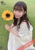 Last idol / Ki 﨑千 Hijiri / Whole Body / Crouching / Both hands Sunflowers / Las Eye Summer Vacation 2020 Self-Produced Random Official photo