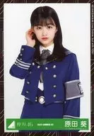 Aoi Harada / Upper body / 2020 - SUMMER 02 / Keyakizaka46 Random Official photo 