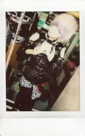 Sea-otter / milk / knee-high / costume black / face tilt / camera line of sight / raw Cheki