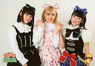 474 : Iginari Tohoku region / Sakura Hinano / Hazuki Yuina / Date Hanaya / "Iginari Tohoku large year-end party" venue sales Iginari Official photo