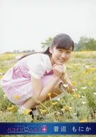 Hakoirimusume/菅沼螃蟹/2015.06-2/官方生写真