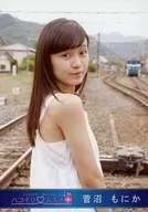 Hakoirimusume / Suganuma Monika / 2015.06-2 / Official Official photo