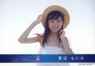 Hakoirimusume / Suganuma Monika / 2015.08-1 / Official Official photo