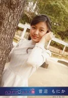 Hakoirimusume/菅沼螃蟹/2016.07/官方生写真