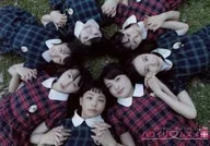 Hakoirimusume/集合(7人)/橫型·豐胸·服裝紅·藍·綠·格紋·陪睡·兩手套·接縫·開眼/正式生寫真