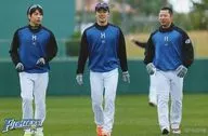 北海道日本哈姆法伊塔兹/集合(3人)/横型・明信片尺寸/法伊塔兹高亮照片