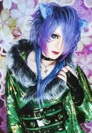 JIN/RIKU/藝人照片