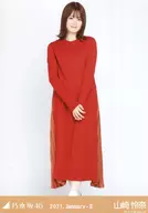 Rena Yamazaki / Whole Body Long Knit Dress / "Nogizaka46 2021. January-II" WebShop Limited Random Official photo