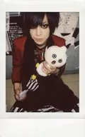 BugLug / Excellent / Fresh Cheki