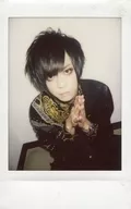 BugLug / Excellent / Fresh Cheki