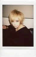 BugLug / Excellent / Fresh Cheki