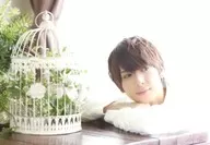 Hiroki Nakata / Yokozuna / "☆ Hiroki Nakata ☆ 30th Birthday Fan Appreciation Event ～ Thoughts ～" Bromide