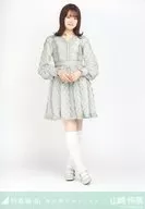 Rena Yamazaki / Whole body / "Nogizaka46 Watashi wa Watashi ni Aeru" WebShop Limited Random Official photo