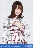 Rena Yamazaki / Upper Body Special Costume 29 / "Nogizaka46 2021. February-II" WebShop Limited Random Official photo