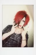 Rose / 芽來 / Fresh Cheki
