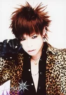 Aube / Kaito / CD "P.S." Brand X special artist photo