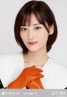 山下美月/豐胸复古禮服/"乃木坂46 2021.May-II>WebShop限定隨機生寫真