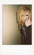 Royz / Tomoya / Fresh Cheki