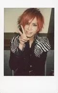 Royz / Tomoya / Fresh Cheki