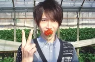 ON/OFF / Kazuya Sakamoto / Horizontal / Postcard size / Official Official photo
