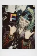 Shellmy / Drainage / Live Cheki