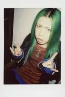 Shellmy / Drainage / Live Cheki