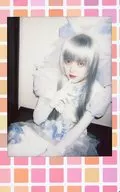 Shermy / Tomoga / Fresh Cheki
