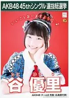 谷优里/2L尺寸/"海带卷>AKB48 45 th单一选拔总选举2L纸规格:80×100cm明信片
