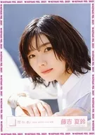 Natsusuzu Fujiyoshi / Bust Up / 櫻坂 46 Random Official photo 