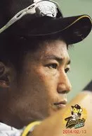 阪神老虎/新井良太/现场照片··明信片尺寸/虎照片生2014 Vol.2