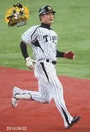 阪神老虎/新井良太/现场照片··明信片尺寸/虎照片生2014 Vol.4