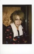 Jacky / King / Fresh Cheki