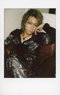 Jacky / King / Fresh Cheki