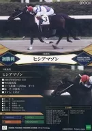 17[レギュラーカード]：ヒシアマゾン