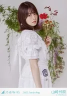 山崎怜奈/上半身/2022福袋Lucky Bag