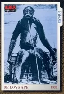 File.05 1920:DE LOYS APE