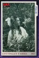 File.41 1917:COTTINGLEY FAIRIES