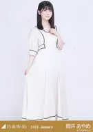 筒井菖蒲/全身・复古設計/"乃木坂46 2022.January>WebShop限定隨機生寫真