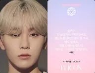 SEVENTEEN/SEUNGKWAN (Boo Seung-kwan) / Back side pink with Korean message / "Dicon PHOTOCARD101 SEVENTEEN" photo card