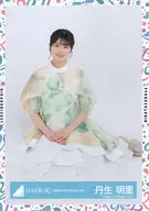 Nibu Akesato / Seated / Hyuga Saka 46 Random Official photo "Costume of" National Ohisamizing Plan 2021 "