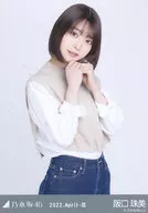 阪口珠美/上半身・不同材質對接/"乃木坂46 2022.April-III>WebShop限定隨機生寫真