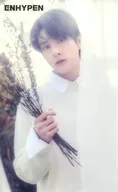 ENHYPEN / Jake (JAKE) / CD "BORDER : Fragile" UNIVERSAL MUSIC STORE special bonus transparent photo card