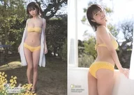 RG24 [Regular Card] : Nanohana / "Nanohana Vol. 5" Trading Card