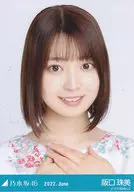 阪口珠美/豐胸夏裝/"乃木坂46 2022.June>WebShop限定隨機生寫真