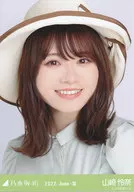 Rena Yamazaki / Bust Up / straw hats / "Nogizaka46 2022. June-III" WebShop Limited Random Official photo