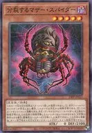 23PP-JP013 [NP] : Split Mother Spider