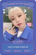 MAMAMOO / ムンビョル (Moonbyul) / Back side orange / CDs "C. I. T. T CHEESE IN THE TRAP" enclosed special photo card