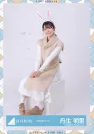 Nibu Akesato / Seated / Hyuga Saka 46 Random Official photo (Uosa Mimi soup Coordination)