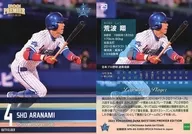 29[常规卡]:荒波翔