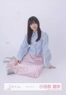 Rena Odakura / Seated / 櫻坂 46 Random Official photo [Color Coordination]